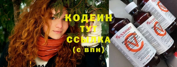 герыч Тутаев