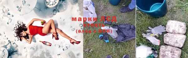 соль ск Тында